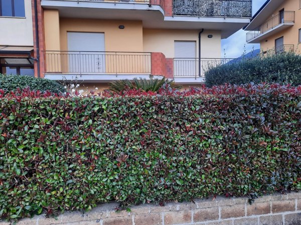 appartamento in vendita ad Airola