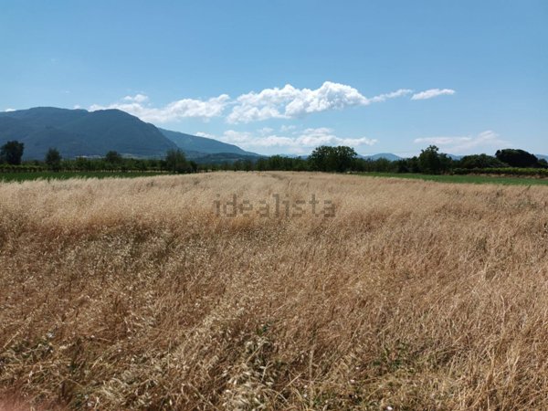 terreno edificabile in vendita ad Amorosi