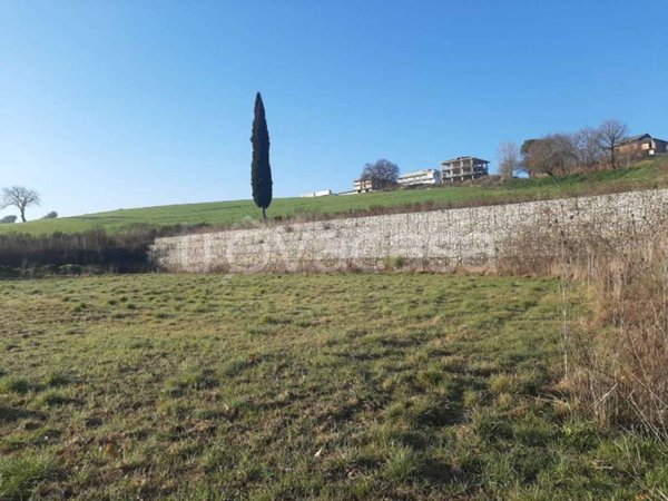 terreno agricolo in vendita ad Apice