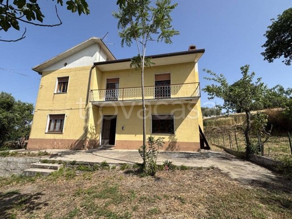 immagine annuncio 0 di 15