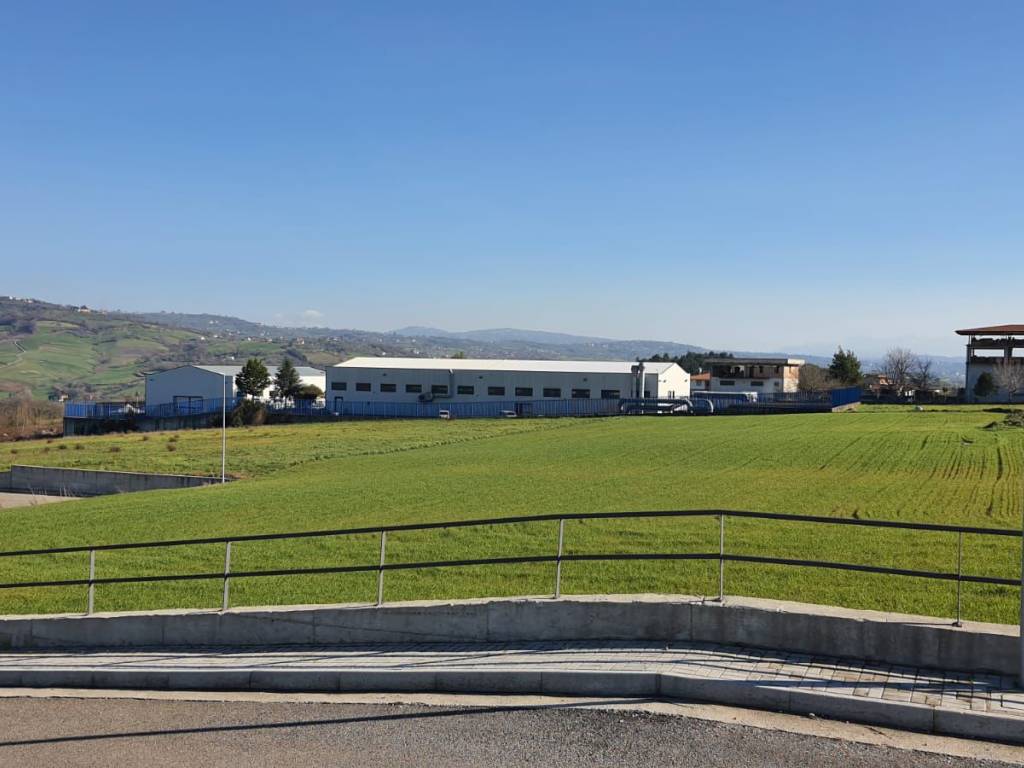 terreno agricolo in vendita ad Apice