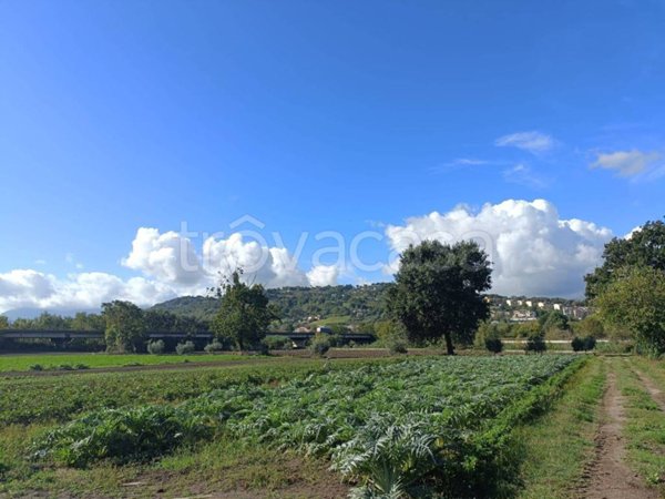 terreno agricolo in vendita a Benevento in zona Libertà