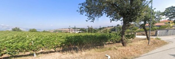 terreno agricolo in vendita a Benevento in zona Monte Pino