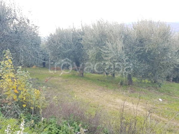 terreno agricolo in vendita a Benevento