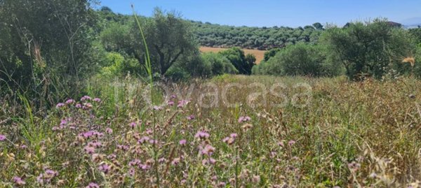terreno agricolo in vendita a Benevento in zona Mosti
