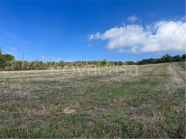 terreno agricolo in vendita a Benevento in zona Centro Storico