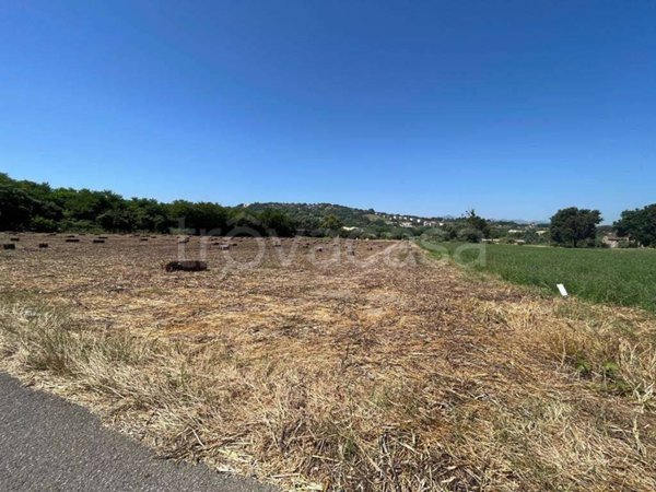 terreno agricolo in vendita a Benevento in zona Centro Storico
