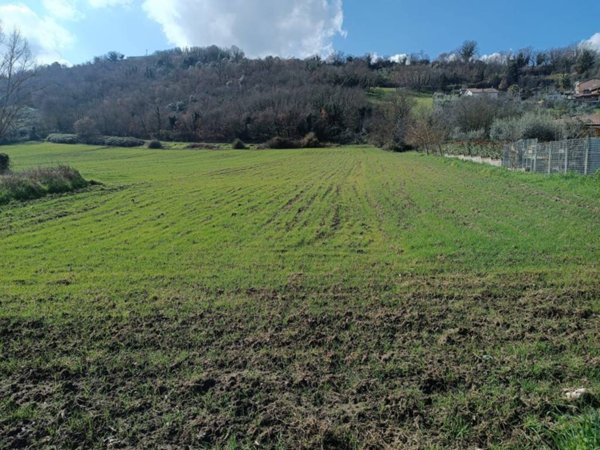 terreno agricolo in vendita a Benevento in zona Libertà