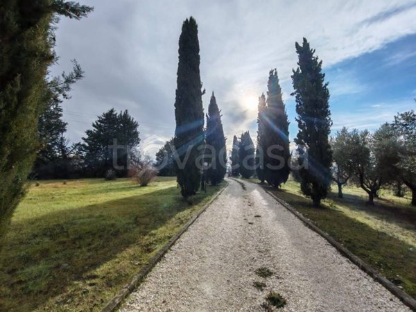 terreno agricolo in vendita a Benevento