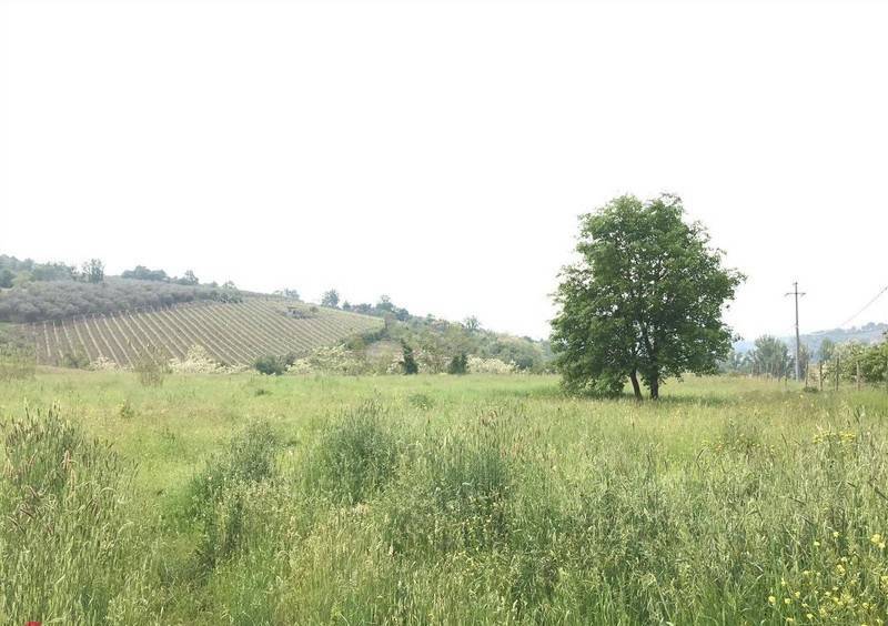 terreno agricolo in vendita a Benevento