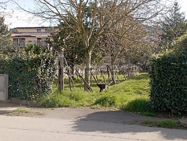 terreno agricolo in vendita a Benevento