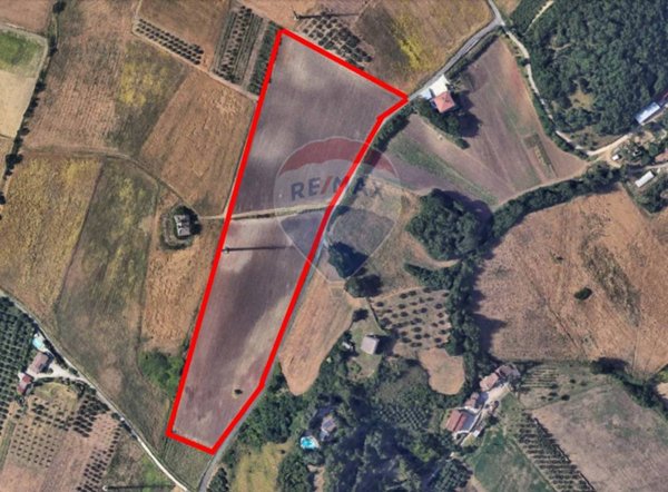 terreno agricolo in vendita a Benevento in zona San Vitale