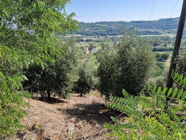 terreno agricolo in vendita a Benevento