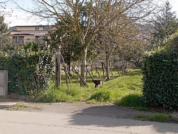 terreno agricolo in vendita a Benevento in zona Porta Rufina