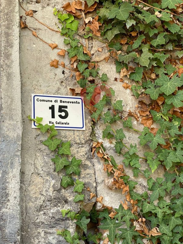 intera palazzina in vendita a Benevento in zona Cellarulo