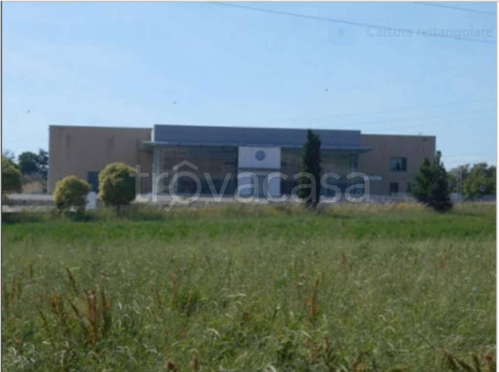 negozio in vendita a Benevento in zona Centro Storico