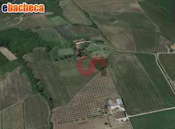 terreno agricolo in vendita a Benevento in zona San Vitale