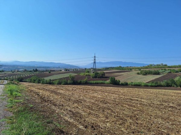 terreno agricolo in vendita a Benevento in zona Mosti