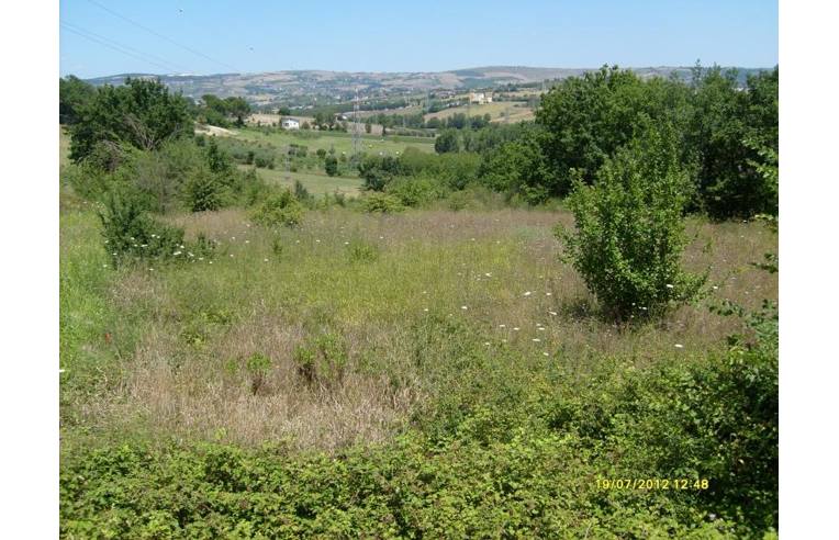 terreno agricolo in vendita a Benevento in zona San Vitale