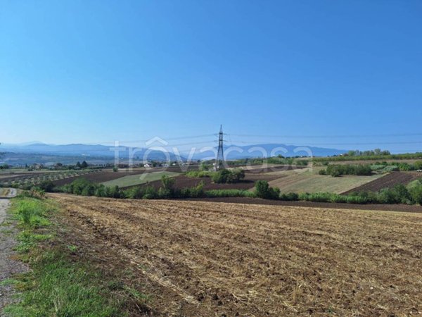 terreno agricolo in vendita a Benevento