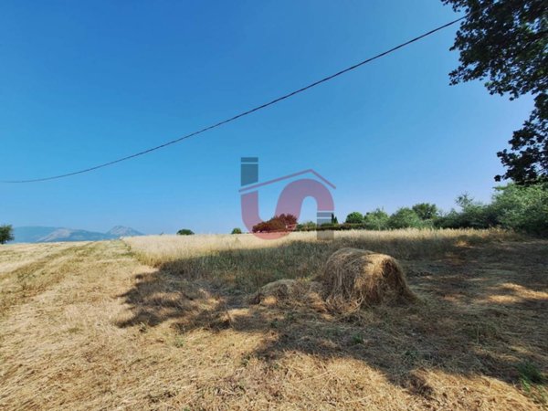 terreno agricolo in vendita a Benevento