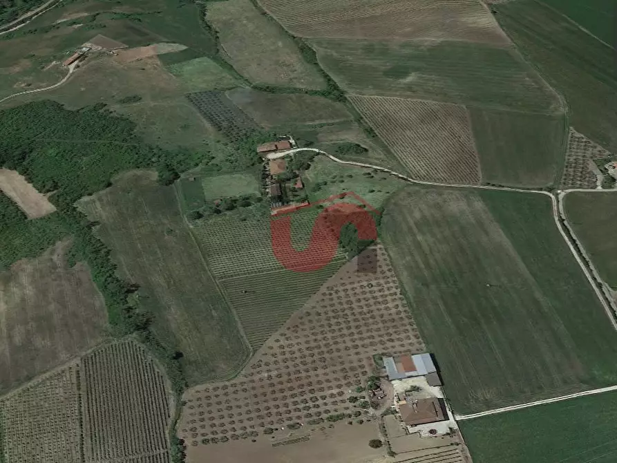 terreno agricolo in vendita a Benevento in zona San Vitale