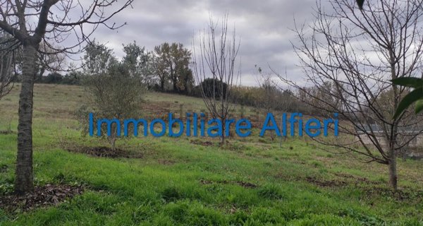 terreno agricolo in vendita a Benevento