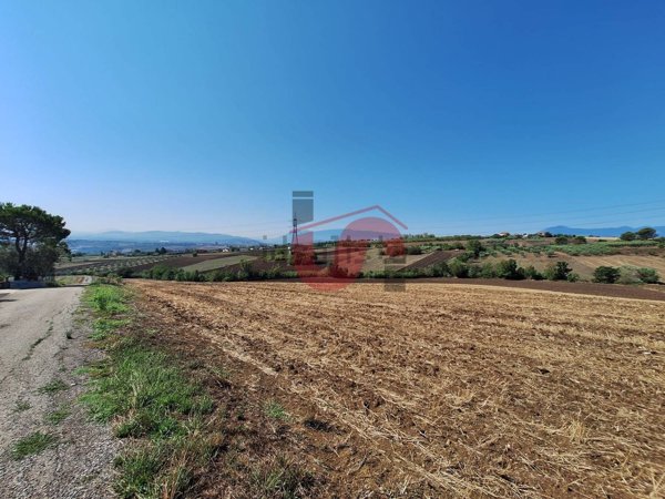 terreno agricolo in vendita a Benevento