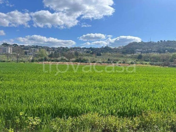 terreno agricolo in vendita a Benevento in zona Centro Storico