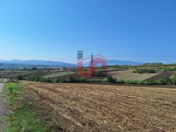 terreno agricolo in vendita a Benevento