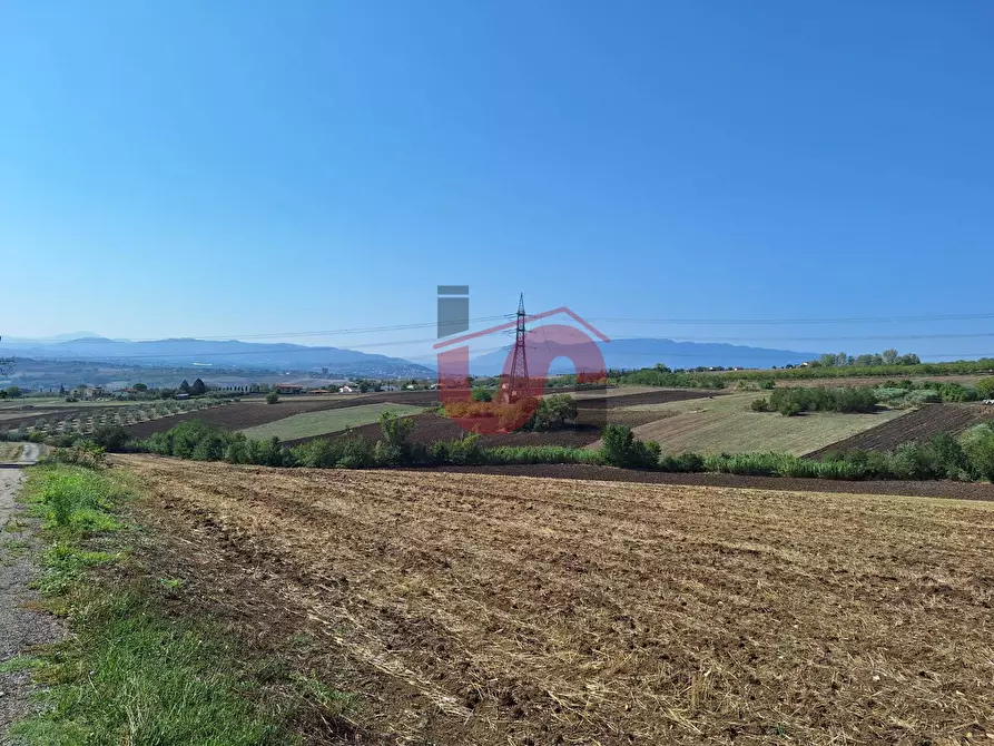 terreno agricolo in vendita a Benevento