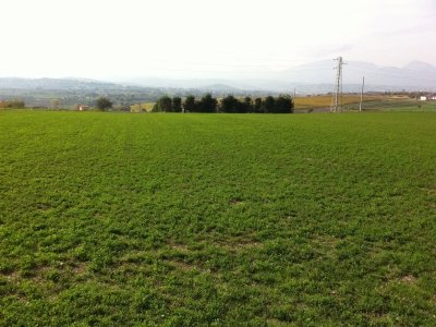 terreno agricolo in vendita a Benevento in zona Cancelleria
