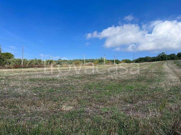 terreno agricolo in vendita a Benevento in zona Centro Storico