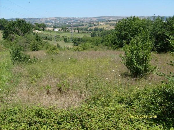 terreno agricolo in vendita a Benevento in zona San Vitale