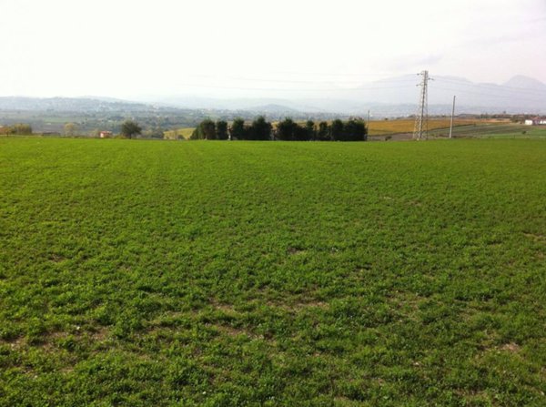 terreno agricolo in vendita a Benevento in zona Cancelleria