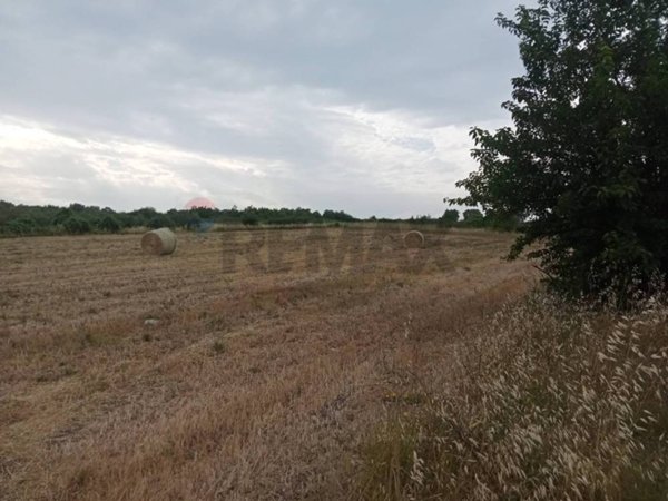 terreno agricolo in vendita a Benevento in zona Ferrovia