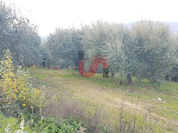 terreno agricolo in vendita a Benevento