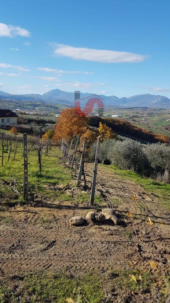 terreno agricolo in vendita a Benevento