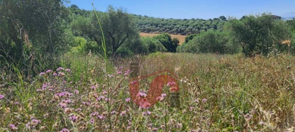 terreno agricolo in vendita a Benevento in zona Mosti