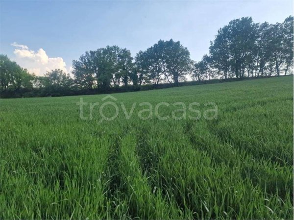 terreno agricolo in vendita a Benevento