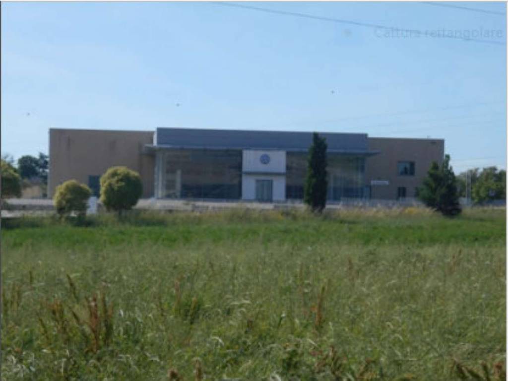 negozio in vendita a Benevento in zona San Vitale