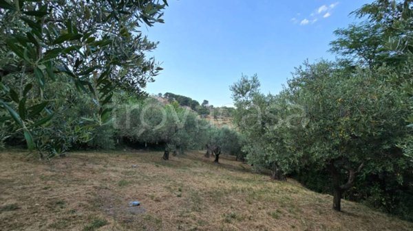 terreno agricolo in vendita a Bonea