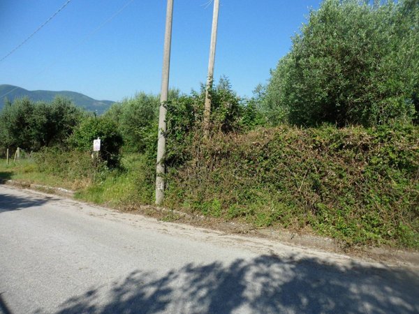 terreno agricolo in vendita a Bucciano