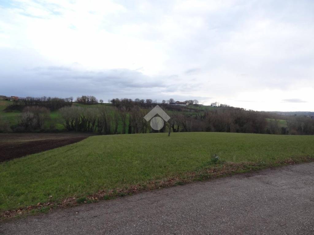 terreno agricolo in vendita a Calvi