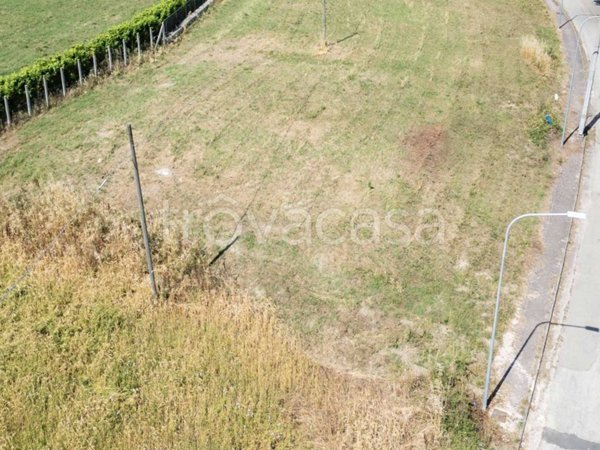 terreno agricolo in vendita a Calvi