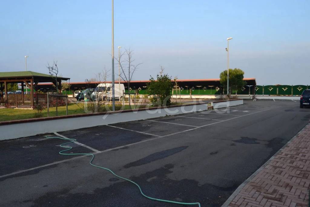 appartamento in vendita a Calvi