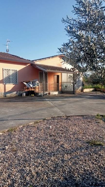 casa indipendente in vendita a Calvi