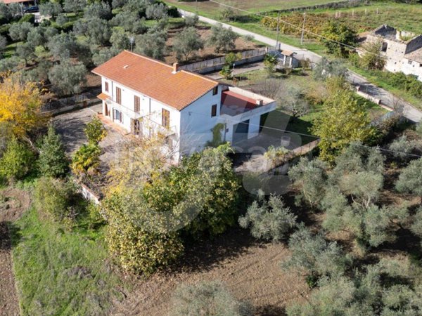 casa indipendente in vendita a Calvi