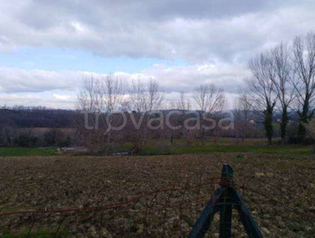 locale commerciale in vendita a Calvi