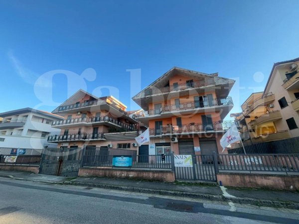 appartamento in vendita a Calvi